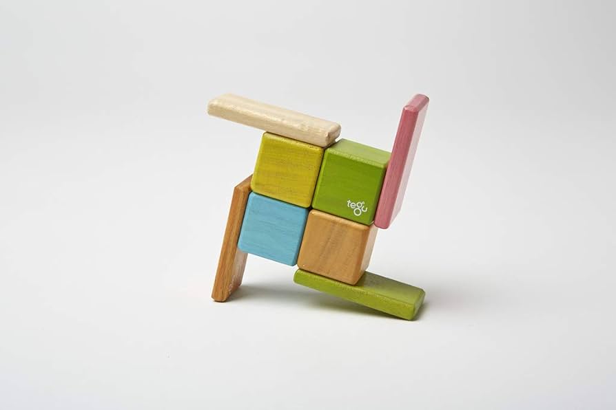 Amazon.com: 8 Piece Tegu Pocket Pouch Magnetic Wooden Block